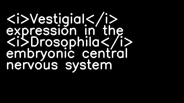 <i>Vestigial</i> expression in the <i>Drosophila</i> embryonic central nervous system