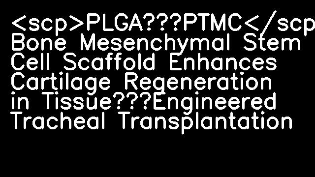 <scp>PLGA–PTMC</scp>–Cultured Bone Mesenchymal Stem Cell Scaffold Enhances Cartilage Regeneration in Tissue‐Engineered Tracheal Transplantation