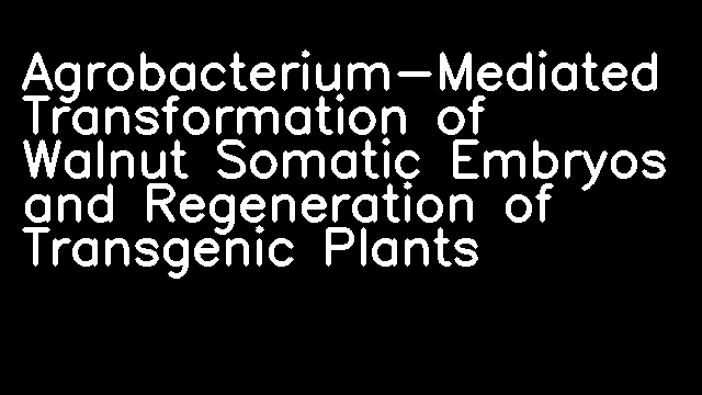 Agrobacterium-Mediated Transformation of Walnut Somatic Embryos and Regeneration of Transgenic Plants