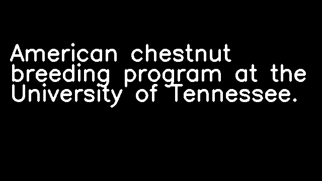 American chestnut breeding program at the University of Tennessee.