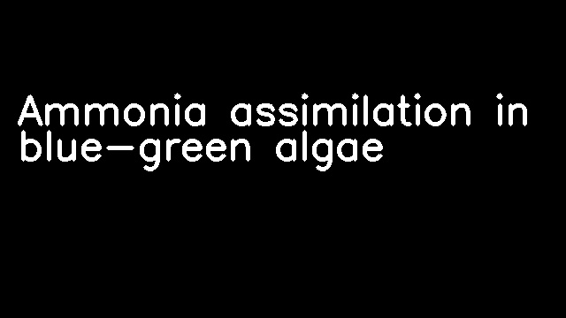 Ammonia assimilation in blue-green algae