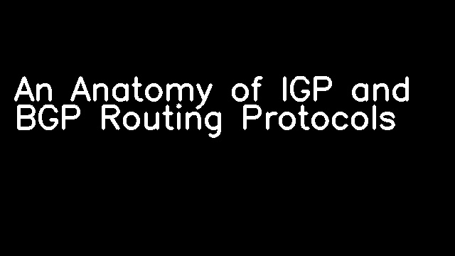 An Anatomy of IGP and BGP Routing Protocols