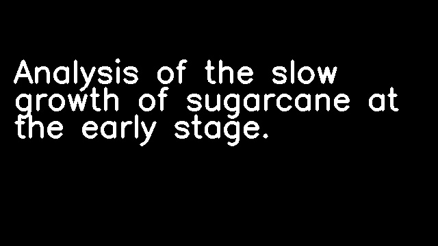 Analysis of the slow growth of sugarcane at the early stage.