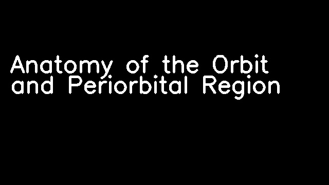 Anatomy of the Orbit and Periorbital Region