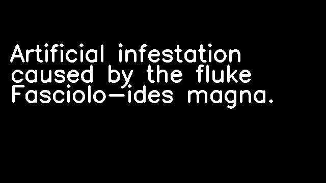 Artificial infestation caused by the fluke Fasciolo-ides magna.