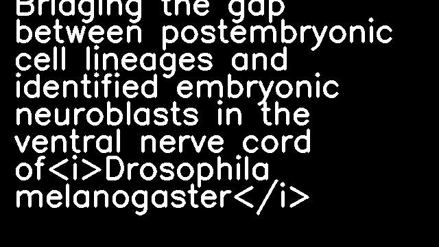 Bridging the gap between postembryonic cell lineages and identified embryonic neuroblasts in the ventral nerve cord of<i>Drosophila melanogaster</i>