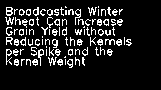 Broadcasting Winter Wheat Can Increase Grain Yield without Reducing the Kernels per Spike and the Kernel Weight