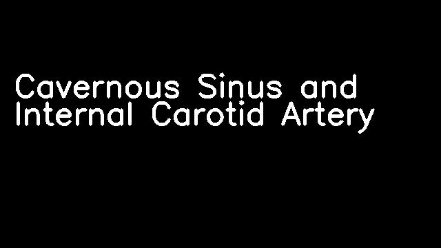 Cavernous Sinus and Internal Carotid Artery