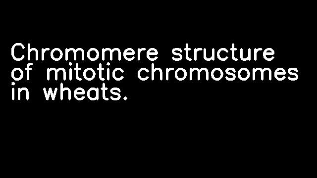 Chromomere structure of mitotic chromosomes in wheats.