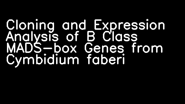 Cloning and Expression Analysis of B Class MADS-box Genes from Cymbidium faberi