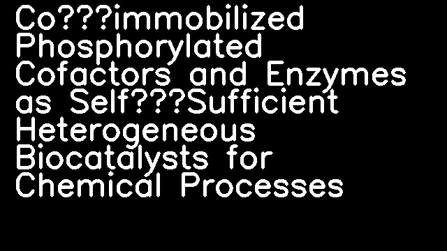 Co‐immobilized Phosphorylated Cofactors and Enzymes as Self‐Sufficient Heterogeneous Biocatalysts for Chemical Processes