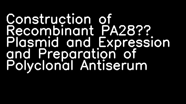 Construction of Recombinant PA28γ Plasmid and Expression and Preparation of Polyclonal Antiserum