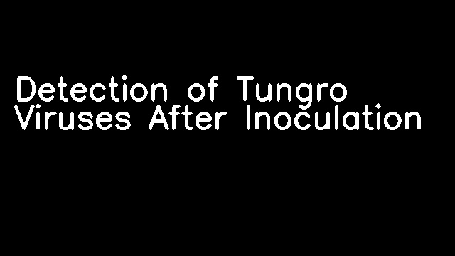 Detection of Tungro Viruses After Inoculation