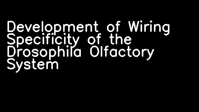 Development of Wiring Specificity of the Drosophila Olfactory System