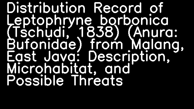 Distribution Record of Leptophryne borbonica (Tschudi, 1838) (Anura: Bufonidae) from Malang, East Java: Description, Microhabitat, and Possible Threats