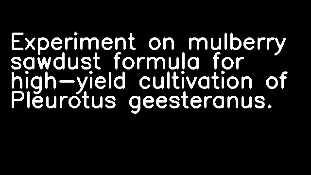 Experiment on mulberry sawdust formula for high-yield cultivation of Pleurotus geesteranus.