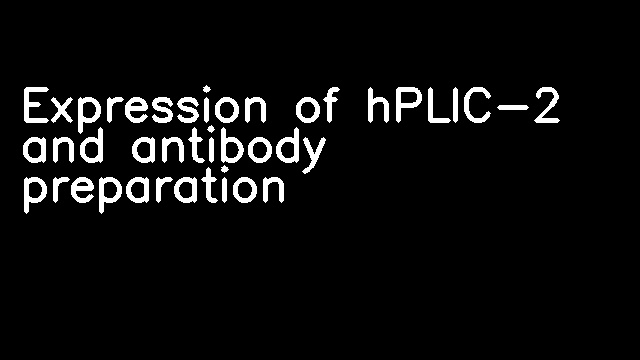 Expression of hPLIC-2 and antibody preparation