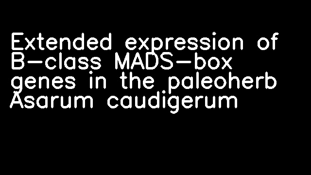 Extended expression of B-class MADS-box genes in the paleoherb Asarum caudigerum