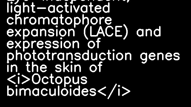 Eye-independent, light-activated chromatophore expansion (LACE) and expression of phototransduction genes in the skin of <i>Octopus bimaculoides</i>