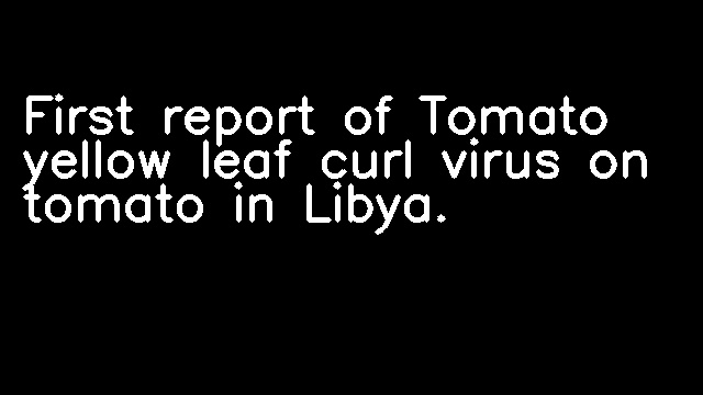 First report of Tomato yellow leaf curl virus on tomato in Libya.