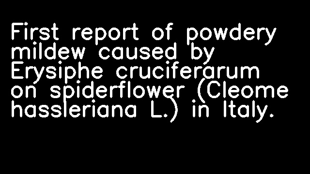 First report of powdery mildew caused by Erysiphe cruciferarum on spiderflower (Cleome hassleriana L.) in Italy.