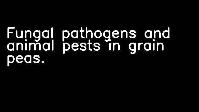 Fungal pathogens and animal pests in grain peas.