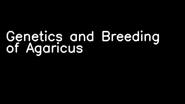 Genetics and Breeding of Agaricus