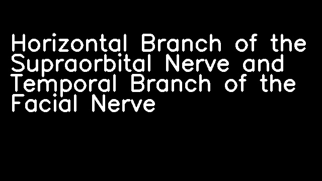 Horizontal Branch of the Supraorbital Nerve and Temporal Branch of the Facial Nerve