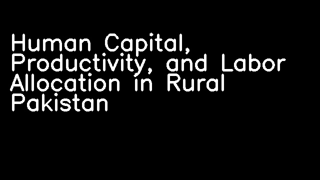 Human Capital, Productivity, and Labor Allocation in Rural Pakistan