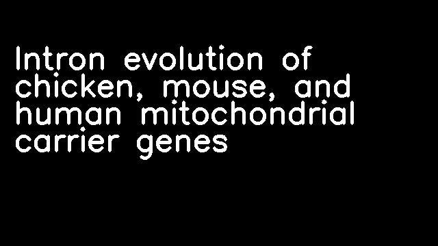 Intron evolution of chicken, mouse, and human mitochondrial carrier genes