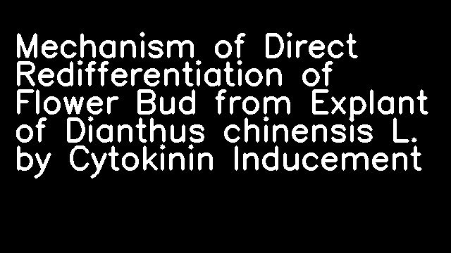 Mechanism of Direct Redifferentiation of Flower Bud from Explant of Dianthus chinensis L. by Cytokinin Inducement