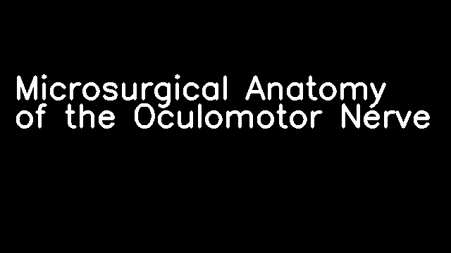 Microsurgical Anatomy of the Oculomotor Nerve