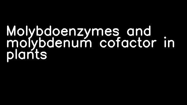 Molybdoenzymes and molybdenum cofactor in plants