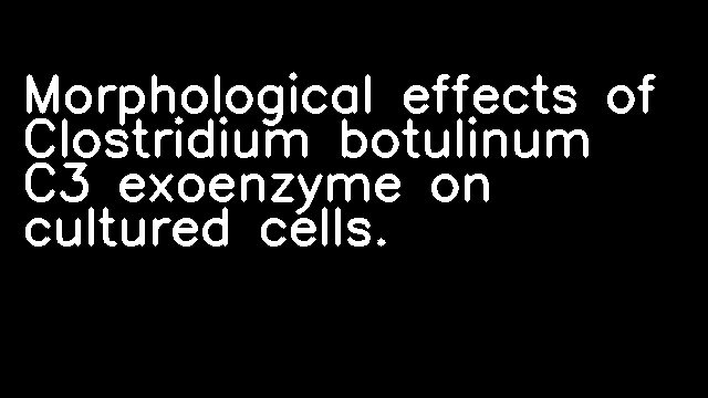 Morphological effects of Clostridium botulinum C3 exoenzyme on cultured cells.