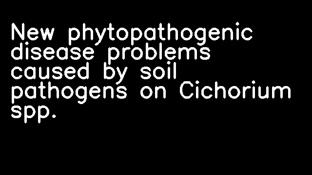 New phytopathogenic disease problems caused by soil pathogens on Cichorium spp.