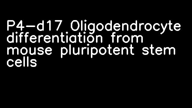 P4-d17 Oligodendrocyte differentiation from mouse pluripotent stem cells