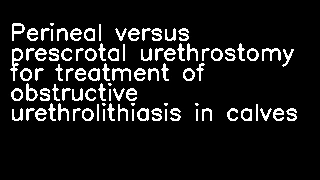 Perineal versus prescrotal urethrostomy for treatment of obstructive urethrolithiasis in calves