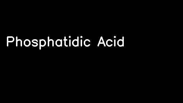 Phosphatidic Acid