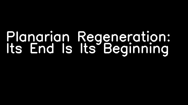 Planarian Regeneration: Its End Is Its Beginning