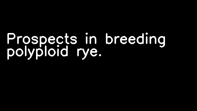 Prospects in breeding polyploid rye.