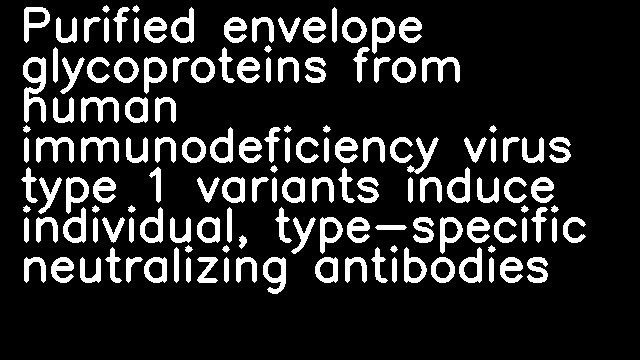 Purified envelope glycoproteins from human immunodeficiency virus type 1 variants induce individual, type-specific neutralizing antibodies