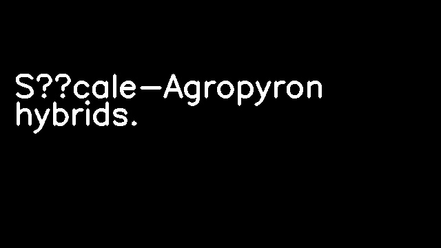 Sécale-Agropyron hybrids.