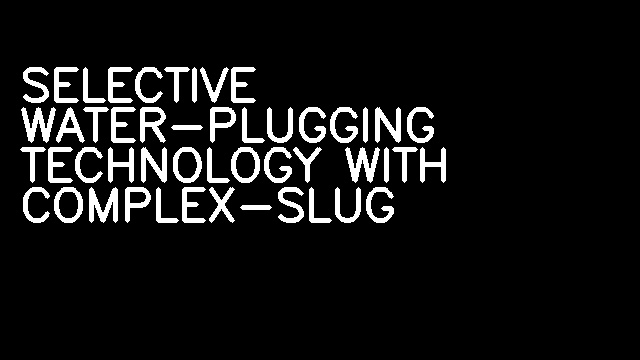 SELECTIVE WATER-PLUGGING TECHNOLOGY WITH COMPLEX-SLUG