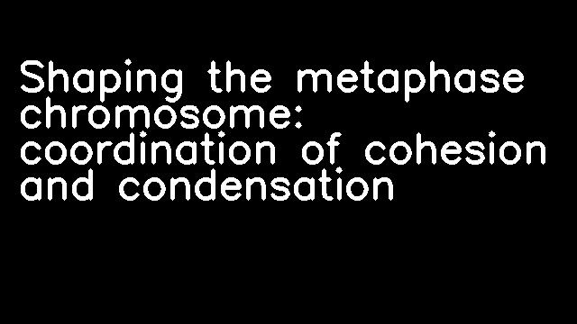 Shaping the metaphase chromosome: coordination of cohesion and condensation