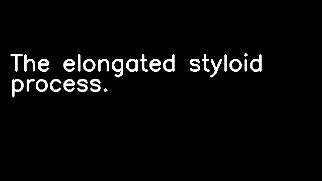 The elongated styloid process.