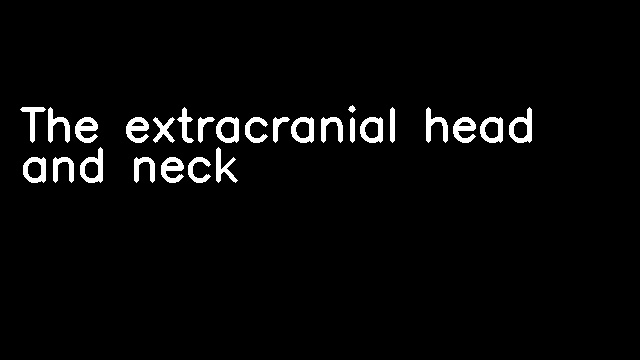 The extracranial head and neck