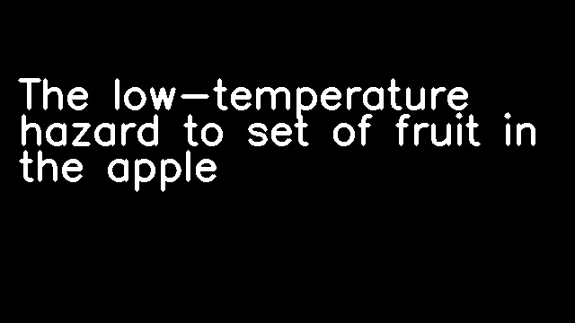 The low-temperature hazard to set of fruit in the apple