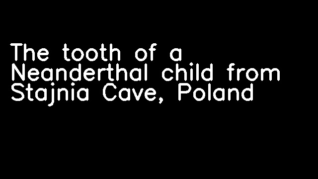 The tooth of a Neanderthal child from Stajnia Cave, Poland