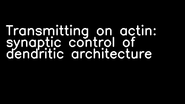 Transmitting on actin: synaptic control of dendritic architecture