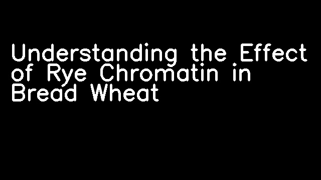 Understanding the Effect of Rye Chromatin in Bread Wheat